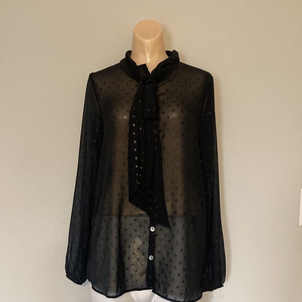 Show Me Your MuMu size XS blouse black polka dot sheer long sleeve